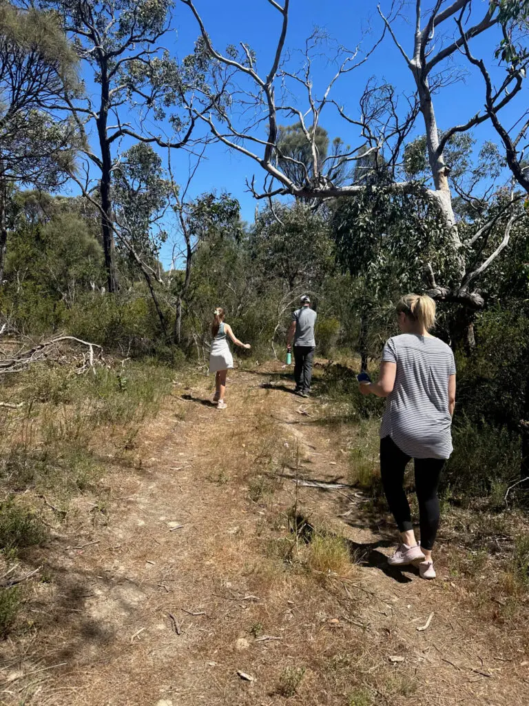 Nature Walks
